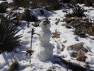 photo thumbnail #14