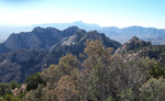 photo thumbnail #3