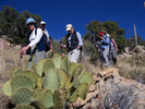 photo thumbnail #7