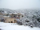photo thumbnail #4