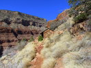 photo thumbnail #10