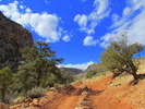 photo thumbnail #12