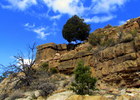 photo thumbnail #15