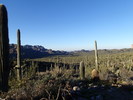 photo thumbnail #1