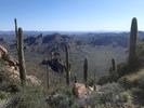 photo thumbnail #15