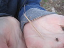 photo thumbnail #4