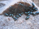photo thumbnail #5