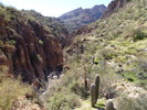 photo thumbnail #9