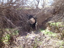 photo thumbnail #12