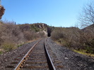 photo thumbnail #14
