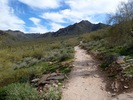 photo thumbnail #2