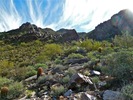 photo thumbnail #5