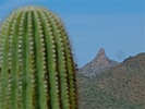 photo thumbnail #14