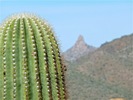 photo thumbnail #15