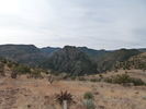 photo thumbnail #14