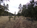 photo thumbnail #5
