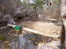 photo thumbnail #8