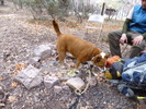 photo thumbnail #9