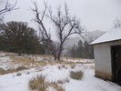 photo thumbnail #12