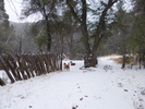 photo thumbnail #14