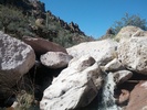 photo thumbnail #2