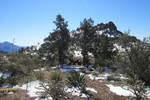photo thumbnail #7