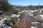 photo thumbnail #8