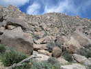 photo thumbnail #3