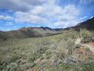 photo thumbnail #7