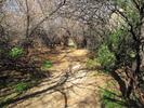 photo thumbnail #13