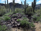 photo thumbnail #8