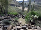 photo thumbnail #10