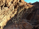 Featured Detail Photo