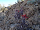 photo thumbnail #4