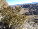 photo thumbnail #7