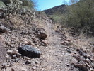photo thumbnail #11