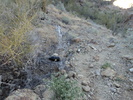 photo thumbnail #14