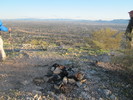 photo thumbnail #6