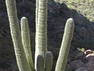 photo thumbnail #2