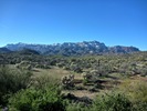 photo thumbnail #1