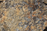 photo thumbnail #5