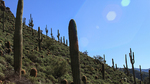photo thumbnail #4