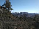 photo thumbnail #3