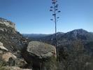 photo thumbnail #7