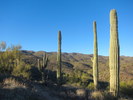 photo thumbnail #1