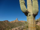 photo thumbnail #13
