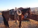 photo thumbnail #2
