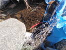 photo thumbnail #7