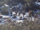 photo thumbnail #11