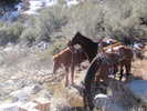 photo thumbnail #12